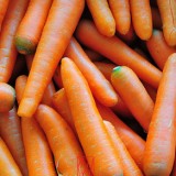 Carottes